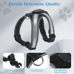 Lampu <span class=keywords><strong>LED</strong></span> berkedip untuk anjing, lampu <span class=keywords><strong>LED</strong></span> modis Sporty keamanan malam nilon bersinar untuk anjing - Product Image 5