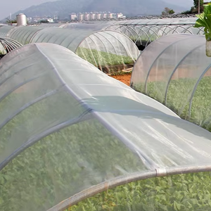 <span class=keywords><strong>Filet</strong></span> <span class=keywords><strong>anti</strong></span>-insectes coloré et transparent pour protéger les plantes, les fraises, les légumes, les fruits et les cultures des insectes et des <span class=keywords><strong>oiseaux</strong></span> - Product Image 1