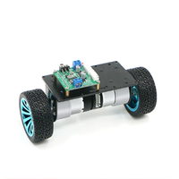Châssis de voiture 4x4 auto-équilibré à double roue avec moteurs DC et base de modèle de voiture robot intelligente