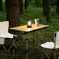 Table de camping pliable en métal portable, table pliante à plateau roulant réglable en hauteur pour pique-nique, randonnée et barbecue