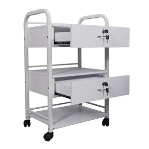 Grosir modis putih penata rambut Salon kecantikan Spa bingkai lukisan perabotan keranjang penyimpanan troli Salon dengan roda bergulir - Product Image 1