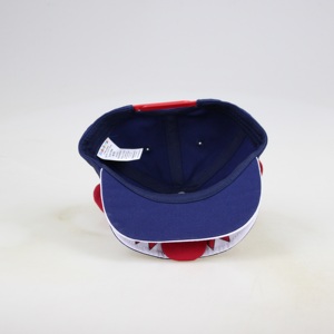 Villus Funny Animal Wear Pattern Mũ snapback bốn mùa dễ thương có hai tai Canvas Logo tùy chỉnh ngoài trời - Product Image 4