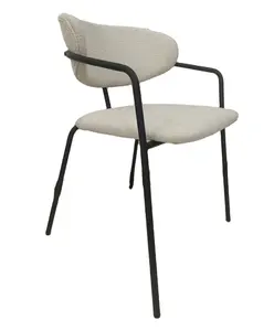 2024新设计简约椅子天鹅绒餐椅高品质金属现代餐厅家居家具北欧椅