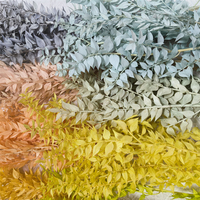 Fleurs de Ruscus séchées et conservées les plus populaires, feuilles naturelles blanchies pour la décoration de la maison/du bureau, événements - Saint-Valentin, remise de diplôme
