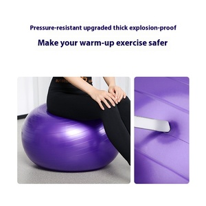 Dày Frosted Pvc Yoga Bóng Biểu Tượng Tùy Chỉnh Phòng Tập Thể Dục Tập Thể Dục Bóng 55Cm 65Cm 75Cm Tập Thể Dục Thể Thao Hàng Hóa Cho Pilates Yoga Tập Thể Dục Người Đàn Ông - Product Image 5
