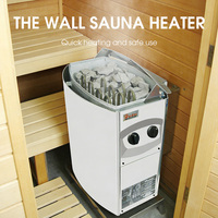 Chauffage électrique de Sauna en acier inoxydable, pour la douche, combustion des pierres précieuses, la vapeur sèche, peinture,