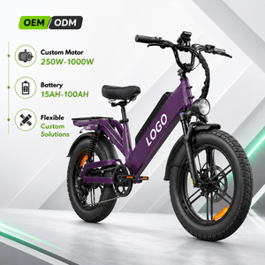 Bicicleta Eléctrica D55 Personalizada OEM, Llanta Gruesa de 20 Pulgadas, 48V 250W-1000W, Cuadro de Aluminio, 7 Velocidades, Suspensión Completa, Frenos de Disco - Product Image 1