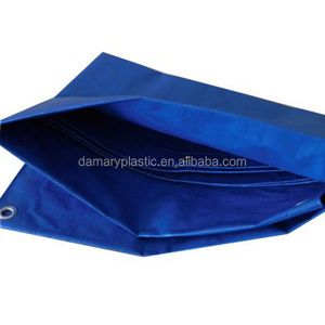 Rollo de <span class=keywords><strong>lona</strong></span> de PE azul de alta calidad 2x100 <span class=keywords><strong>Lona</strong></span> de <span class=keywords><strong>lona</strong></span> impermeable para coches y piscinas Patrón recubierto para niños y niñas - Product Image 4