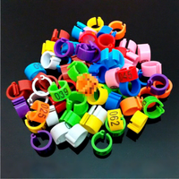 Bague d'identification électronique en plastique pour pigeons de chair et de voyage, modèle KBX83Z63, ronde