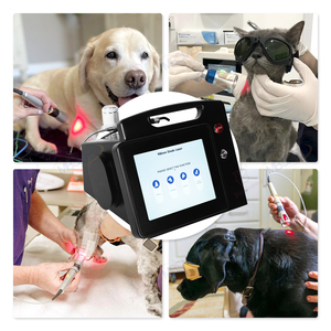 Láser de Grado Médico de 30W 980nm Clase 4 para Fisioterapia Veterinaria y Tratamiento de Curación de Heridas en Animales - Product Image 4