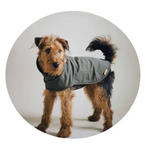 ODM imperméable vente à chaud vêtements pour animaux de compagnie chien mode design outwears pour chien