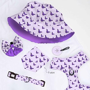 2024, superventas, nuevo conjunto de 6 uds., arnés para perros a juego, sombreros de invierno, camisetas, lazo de <span class=keywords><strong>marinero</strong></span> con dueño, collar <span class=keywords><strong>y</strong></span> arnés para mascotas - Product Image 1