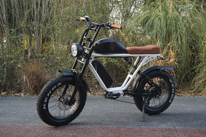 จักรยานไฟฟ้าไฮบริด 73 รุ่น Super Dual Battery ล้อโต 20 นิ้ว ยาง Fat Tire มอเตอร์หลัง 1000 วัตต์ ระยะทางไกล 7 สปีด - Product Image 6