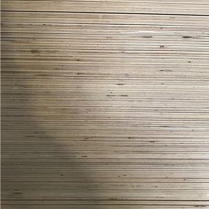 Compensato di Betulla di Alta Qualità 1525x1525, 3mm 4mm 6mm 9mm, Laminato Fenolico <span class=keywords><strong>WBP</strong></span>, E0 Formaldeide, Garanzia 1 Anno, per Uso Alberghiero - Product Image 4