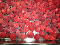 Fraises surgelées LQF en vrac, prix des grossistes