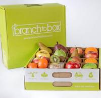 Emballage ondulé en papier pour grenade orange, boîte d'emballage en carton pour fruits et légumes, kiwi dragon