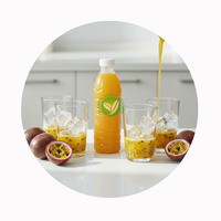 Passievruchtensapconcentraat van XMSD voor ijsmachines, yoghurtproducenten en de drankenindustrie