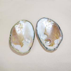 Gemstones Raw <strong>Mother</strong> <strong>of</strong> <strong>Pearl</strong> Wholesale Price <strong>Natural</strong> Freshwater <strong>Pearl</strong> Oyster <strong>Shell</strong> White <strong>Shell</strong> for DIY Jewelry Making Crafts
