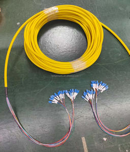 24 cœurs Single Mode OS2 Trunk Cables 0.9mm Bunchy Breakout Cable Optic <span class=keywords><strong>Patch</strong></span> Cord avec Pull Eye <span class=keywords><strong>pour</strong></span> Data Center - Product Image 2