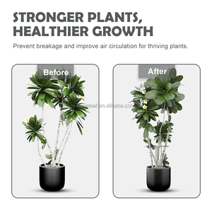 Soporte de Metal Semicircular para Plantas de Jardín, Estaca para Tomates, Rosas, Enredaderas - Product Image 5