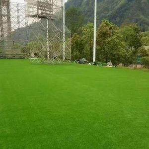 <span class=keywords><strong>Gazon</strong></span> artificiel d'intérieur de 20 mm 30mm 40mm <span class=keywords><strong>Gazon</strong></span> <span class=keywords><strong>synthétique</strong></span> de sol - Product Image 5