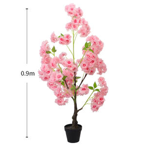 La encantadora elegancia de los árboles de flor de cerezo - Product Image 5