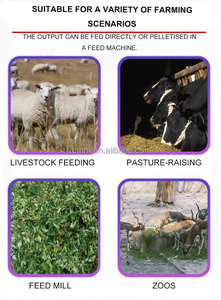 Ngô Ủ Chua Máy chaff Máy Cắt xăng DIESEL Ủ Chua Máy Nghiền rơm Máy cắt - Product Image 3