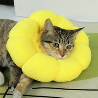 Collier souple pour chat après stérilisation, collier circulaire Eliza en forme de tournesol, anti-léchage et anti-griffures