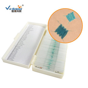 Scenedesmus slide, plant specimens, algae, chlorophyll, animal and plant sections, teaching <b>microscope</b> slides. - Product Image 2