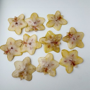 Pingente de Orquídea Seca Real em Resina UV Ecológica, Delicado e Elegante, em Várias Cores, para Colar e Brinco - Product Image 4