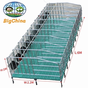 Direttamente dal Produttore: Recinto per Gestanti e Attrezzature per l'Allevamento di Suini - Product Image 6