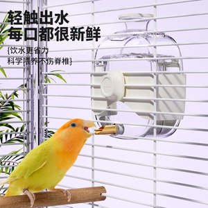 Bebedero y Comedero de Plástico Transparente a Prueba de Fugas <span class=keywords><strong>para</strong></span> <span class=keywords><strong>Loros</strong></span> y Mascotas Pequeñas - Product Image 5