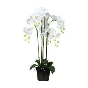 Real touch flower White phalaenopsis pot plant latex flowers orchid for sale latex artificial