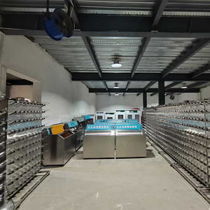 Máquina de Lavado y Secado de Calzado HELAXEN, Limpieza de Zapatillas con Alta Presión, Garantía de 2 Años, Acabado de Pintura, Secado Rápido, Agua Fría/Caliente - Product Image 5