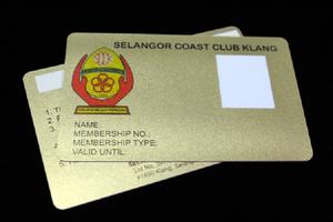 Tarjeta Inteligente de Proximidad RFID sin Contacto NFC de Plástico para Membresía VIP de Hotel, PVC, Frecuencia de 125KHz, Mini Etiqueta TK4100, Duplicación - Product Image 4