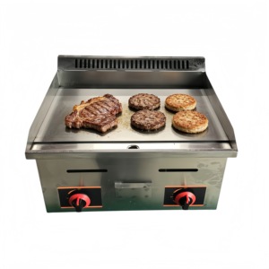 Gril et plancha à gaz professionnels en acier inoxydable pour restaurants et chariots de restauration, idéaux pour la cuisson de steaks - Product Image 1