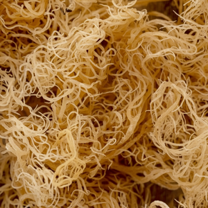 Pure Eucheuma Cottonii Algues Meilleur service en vrac - Product Image 1