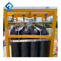 Support pour bouteilles de gaz DNV 2.7-1 Standard 12 ou 16, unité 4x4, 200 bar, 50 l, 232 mm, pour bouteilles d'azote offshore
