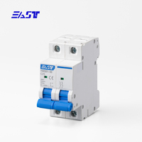 Disjoncteur miniature (MCB) EAST durable à montage sur rail 2P 1-63A pour la protection de l'alimentation basse tension