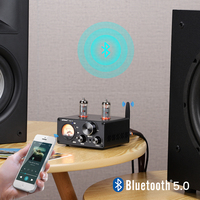 AIYIMA ses T9 BT 5.0 vakumlu tüp amplifikatör USB DAC Stereo alıcı koaksiyel/OPT HiFi ev ses dijital Amp w/VU metre 100W
