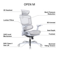 Chaise de bureau ergonomique en maille, inclinable, avec accoudoirs 3D et siège coulissant, idéale pour salle de conférence, certifiée BIFMA, vente chaude, achat professionnel direct usine