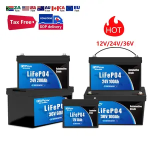 Copow roypow batería de litio 36V 72v 96v 100ah 230ah 215ah 165ah LiFePO4 batería de litio motor de arrastre 36V batería de barco de motor