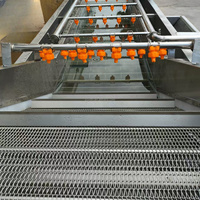 Professionele Lage Prijs Industriële Luchtmacht Multifunctionele Fruit & Groenten Wasmachine