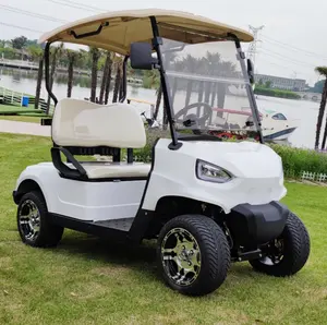 Best Selling New 2024 Black World Electric Utility 5KW Motor Golf Cart