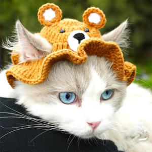 Accessoires pour animaux de compagnie en gros : Bonnet amusant en forme de grenouille de dessin animé, cache-cou et cache-oreilles en crochet, cache-cou tricoté pour chiens Teddy et chats - Product Image 1