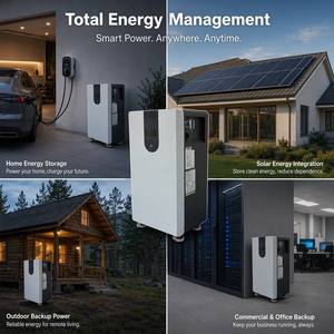 แบตเตอรี่ LiFePO4 51.2V 314Ah 15Kwh พร้อมระบบจัดการแบตเตอรี่อัจฉริยะ (BMS) และระบบตรวจสอบผ่านคลาวด์ สำหรับการจัดเก็บพลังงานภายในบ้าน - Product Image 6