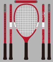TYPTI Ensemble de raquettes en fibre de carbone T700 de haute qualité avec cordes en nylon, comprenant 1 raquette