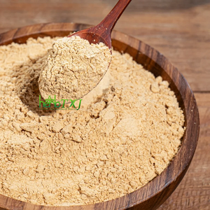 Экстракт сои без ГМО в порошке: 40% соевых изофлавонов / 50% фосфатидилсерина - Product Image 1