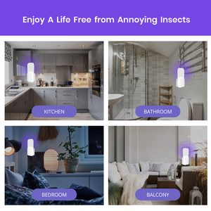 <span class=keywords><strong>Piège</strong></span> <span class=keywords><strong>à</strong></span> insectes volants électriques <span class=keywords><strong>Moustiques</strong></span> Mouches Pièges <span class=keywords><strong>à</strong></span> moucherons pour <span class=keywords><strong>maison</strong></span> Intérieur - Product Image 6