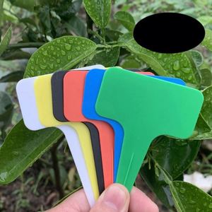 Etiquetas de Plástico Resistentes para Jardinería, Marcadores de Plantas Multiusos Gruesos para Suculentas y Flores - Product Image 2